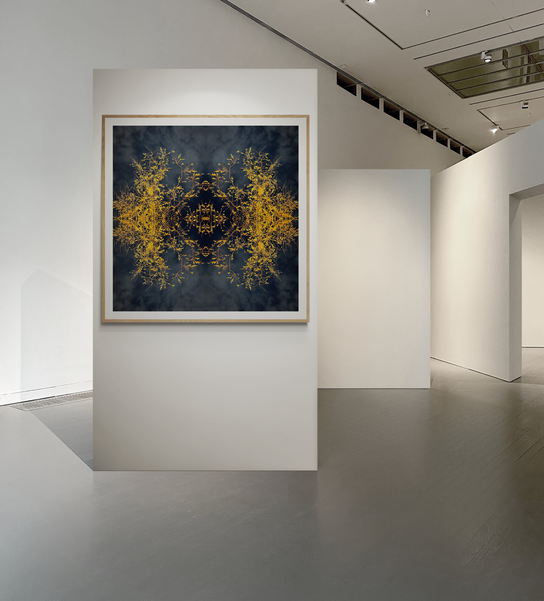 Amy Sundby Art Gallery Wall